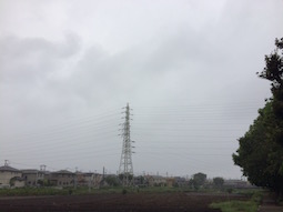 taifu m(1)